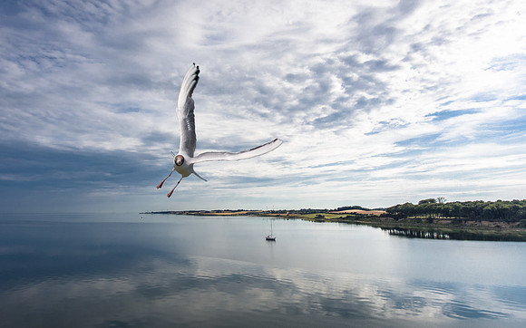 DJI_0093-HDR-Edit