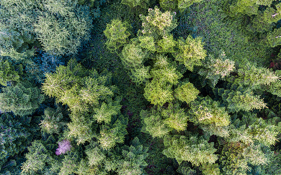 DJI_0022