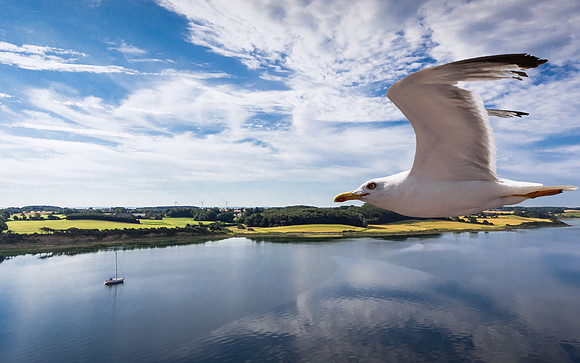 DJI_0098-HDR-Edit