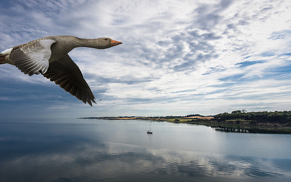 DJI_0093-HDR-Edit-2