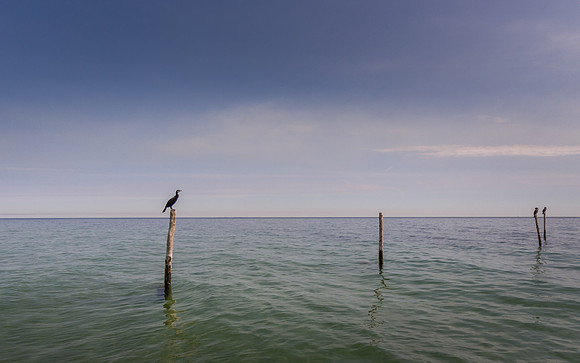 DJI_0031-HDR
